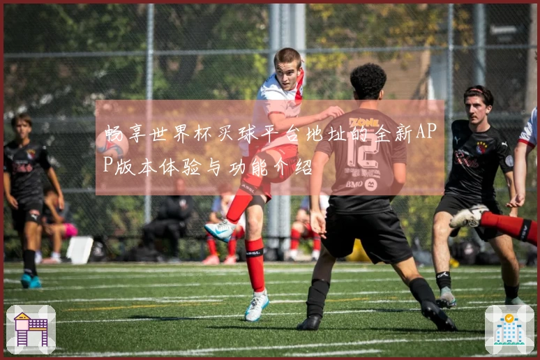 畅享世界杯买球平台地址的全新APP版本体验与功能介绍