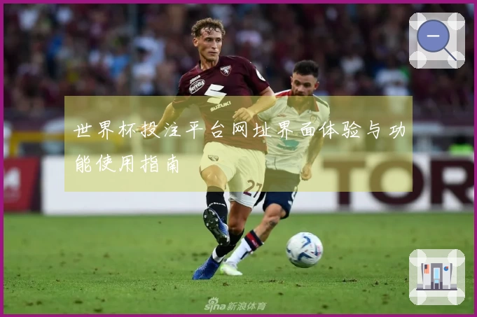 世界杯投注平台网址界面体验与功能使用指南