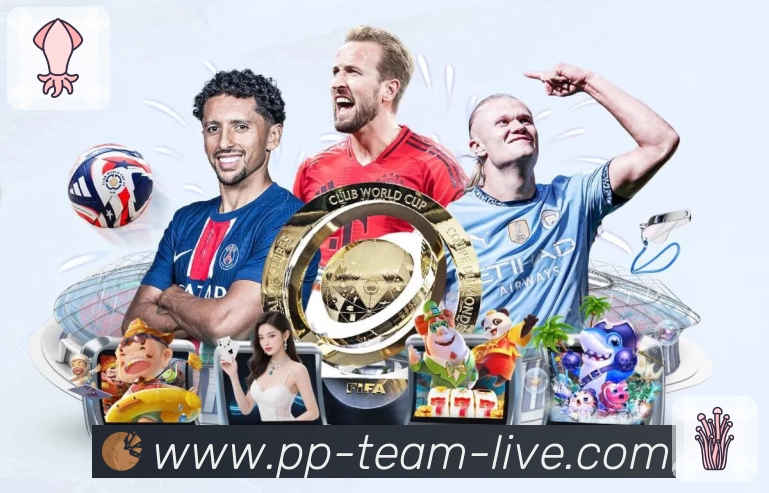 pp体育平台展示图